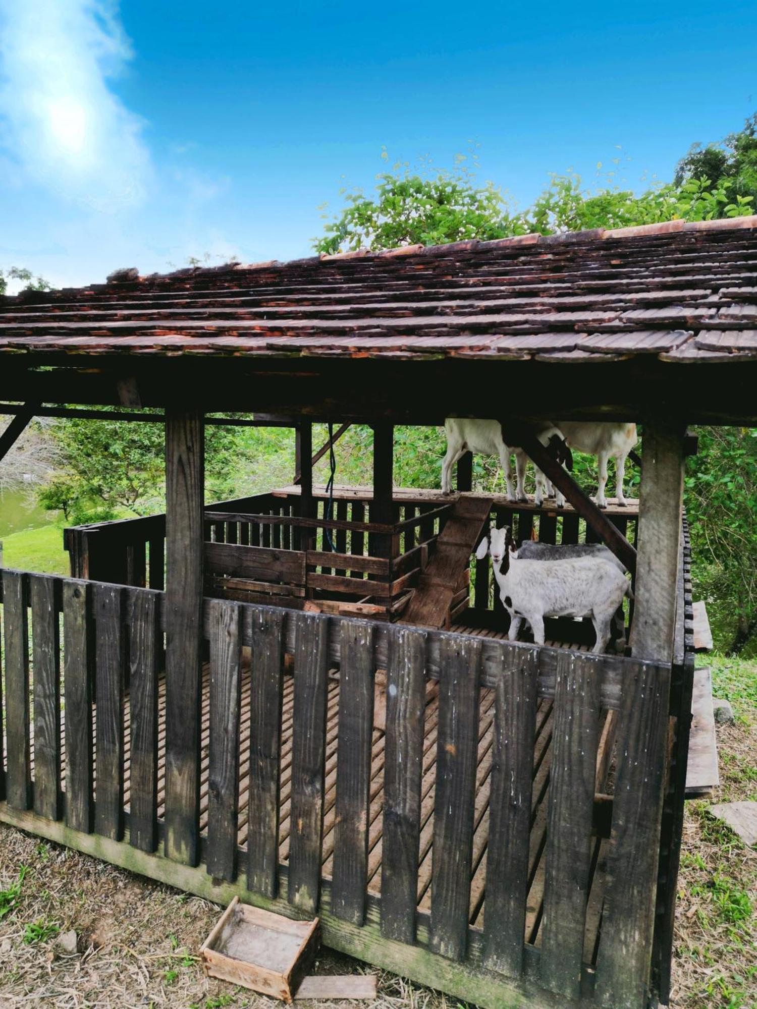 Hospedagem Zilz Pomerode Exterior foto